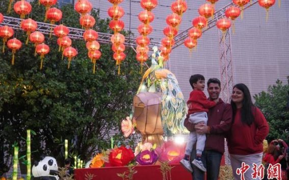香港元宵庆典：灯火辉煌与心愿共鸣