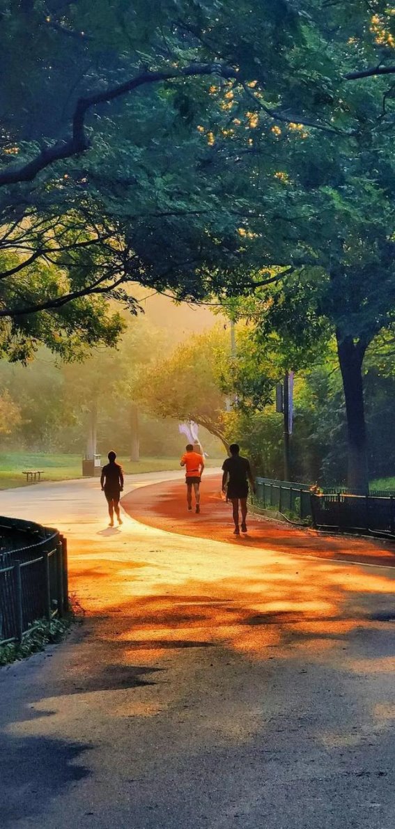 年轻男子成功逆转血管狭窄的健康之路：三大生活习惯的改变