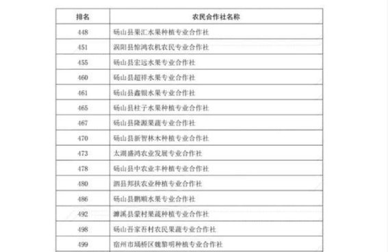 安徽92家农民合作社入选中国农民合作社500强，彰显农业产业化新成就