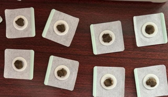 传承岐黄薪火，探索哮喘防治的中医新路径——奉贤青村社区卫生服务中心的创新实践