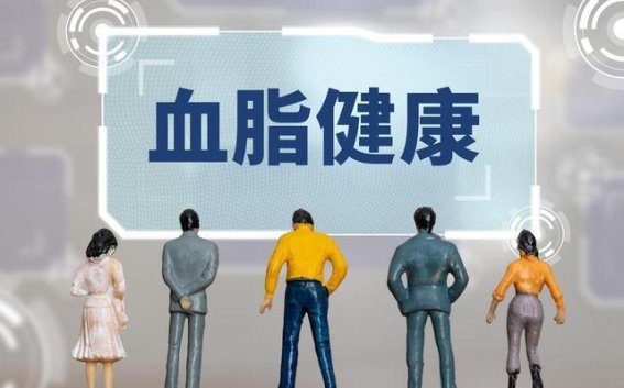 吃肉少真的更健康吗？揭秘血脂与饮食的关系