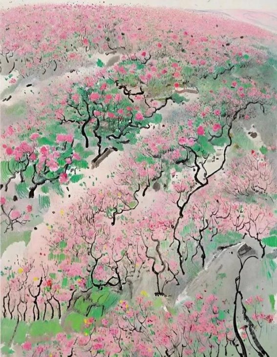 春花烂漫，映照生命与自然的美好时光