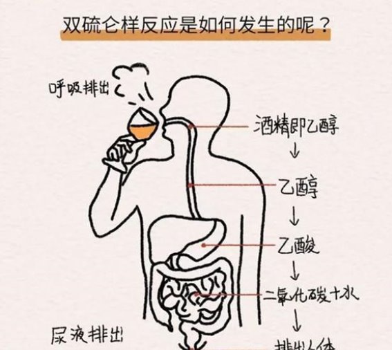 药物与酒精的隐形危机：双硫仑样反应你知道吗？