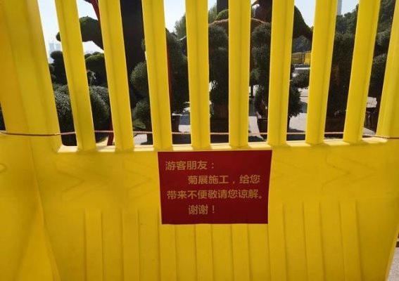 武汉菊展：秋日盛典的期待与欢庆