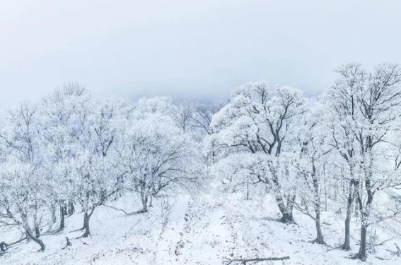 吉林市冰雪试验区迎冬初雪的奇幻时刻