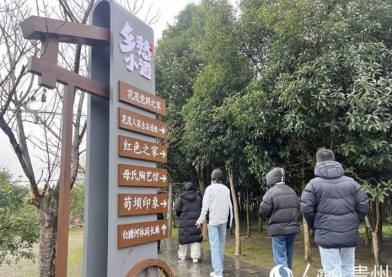 花茂村的蜕变：在传统与创新中绽放