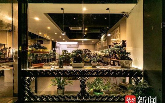 美丽橱窗与店招，点亮姑苏古城的文化魅力