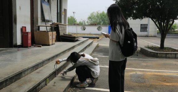 青春绘乡村振兴新篇章