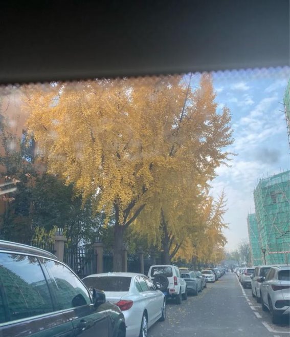 旅行中的失望与反思：当友情变得沉重