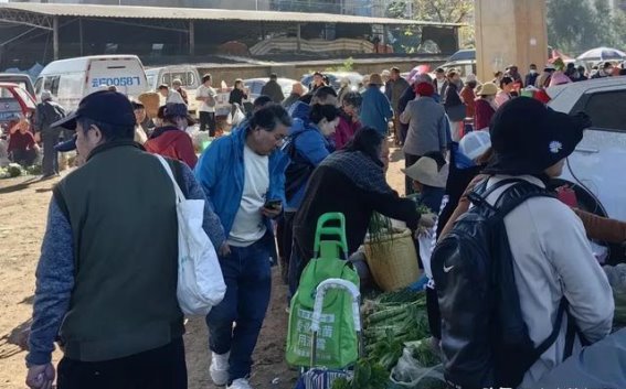 昆明三八街赶街子，物美价廉，家乡的物价能比得上吗？