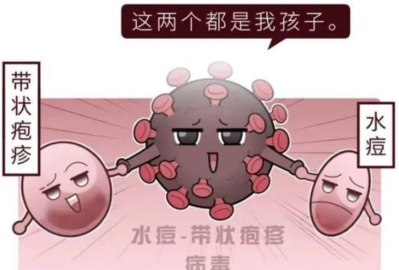 警惕！多地发现水痘病例，学校班级被隔离，家长该如何应对？