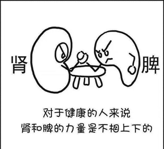 精血的根基：用熟地与菟丝子调和阴阳，补充体内精血