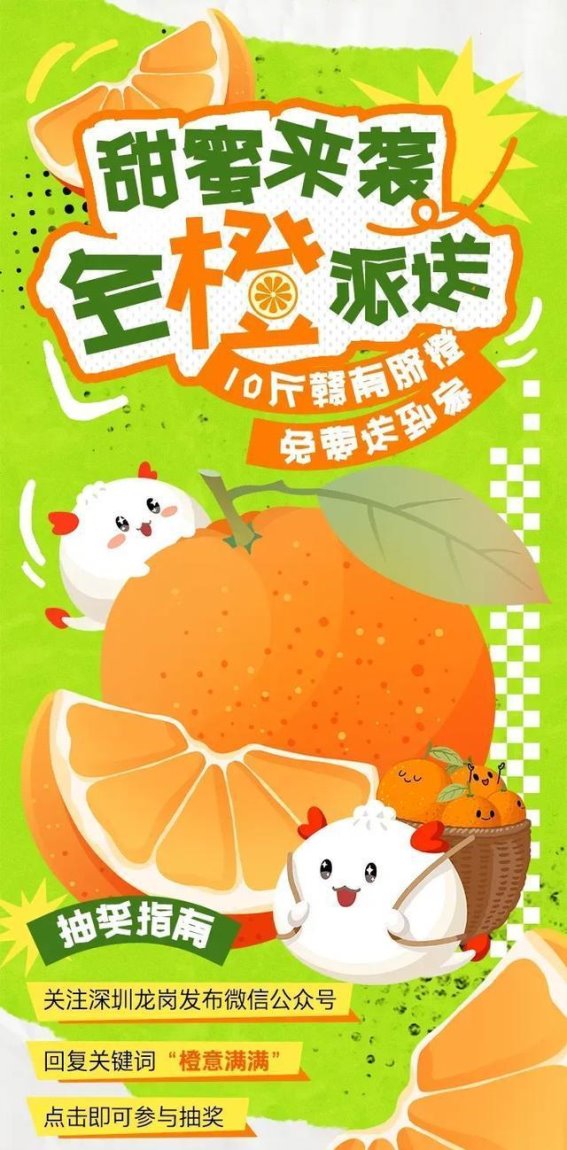 龙岗的清晨与预警：应对挑战中的美好与警惕