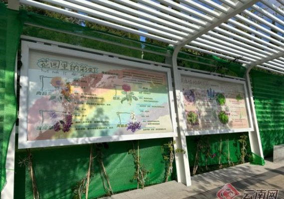 滇池度假区：以“一米高度”勾勒儿童友好型城市新画卷