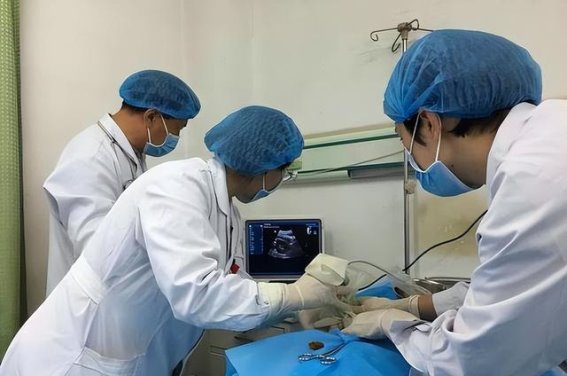 大虾对尿酸的影响：真相与误区