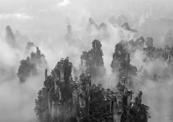 春意盎然，山水如画——畅游桂林漓江与张家界的摄影之旅