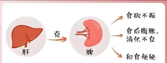 肝脏失调与失眠的关系：三种常见药方选择