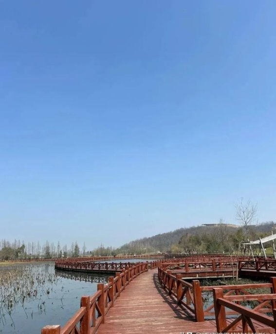 武汉花山生态湿地公园：一个安静的自然之地