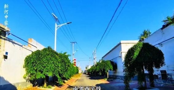 申家庄：历史与现代交织的葡萄小镇