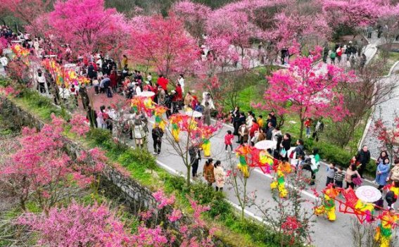 华蓥山滑竿抬幺妹：传统非遗文化在梅园焕发新生