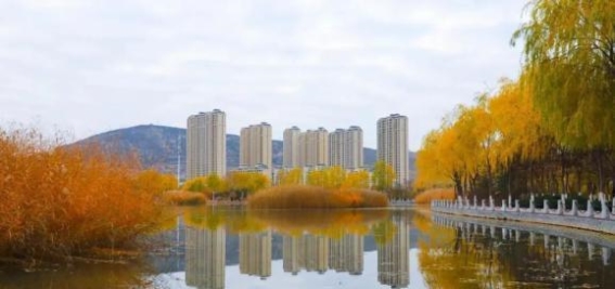 定西的秋天：如诗如画的金色季节