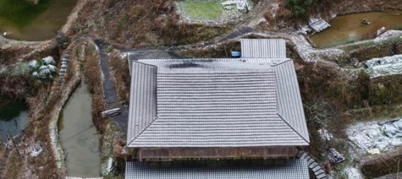 2025年广西首场瑞雪：美丽与挑战并存的冬日
