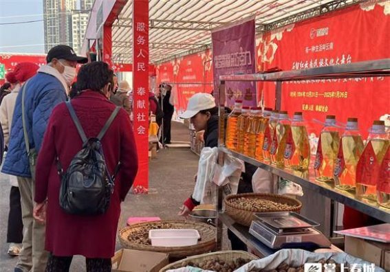 首届公交花漾春乘旅游文化节：文化与出行的完美融合