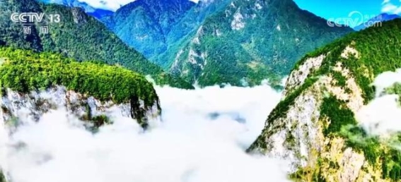 飞鸟云海雪山：在自然奇观中厚植绿色发展底色