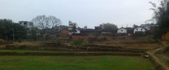 杨洞村：一片待开发的乡村旅游宝地