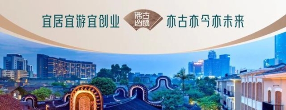 高楼防蚊指南：蚊虫来袭不再惧怕