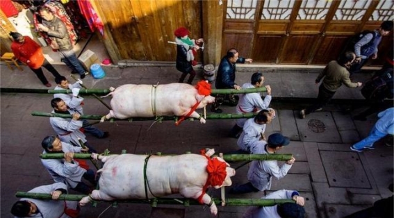 冬游雅安：在红叶与雪山间畅享温泉与美食
