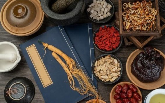 外资医院与中医发展的战略平衡：中国医疗改革的双重考量