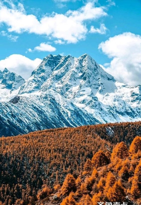 回归故乡的旅途