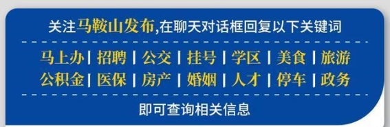 跨年夜，公交出行大升级：临时专线与延时服务全力保障市民出行