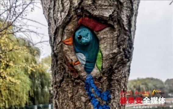 岱道庵游园的树洞画：艺术与自然的奇妙融合