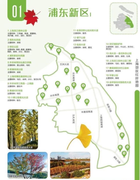 秋风起，上海红叶地图带你探寻深秋之美