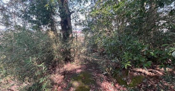 水南村：历史与自然交织的古村落