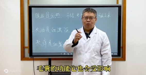 中医视角下的脱发与头皮问题：从血热到血虚的全解析