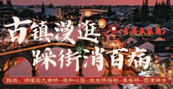 元宵灯火，三桥游韵——沪上赏梅寻诗意