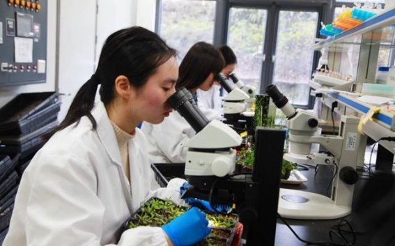 老年人便秘的背后原因，医生提醒：注意这4个关键点