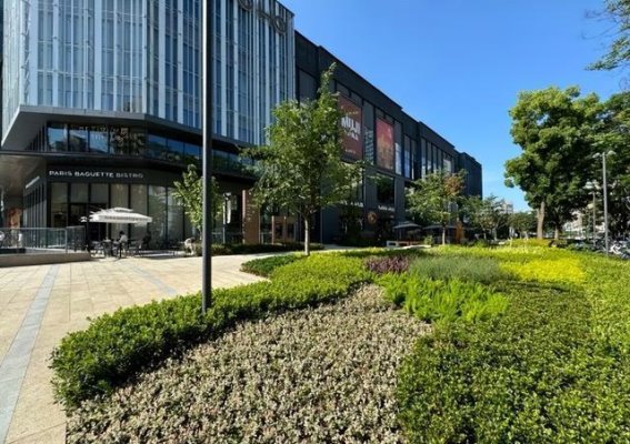 秋日漫步静安，探索上海“美丽街区”之昌平路与北站街道