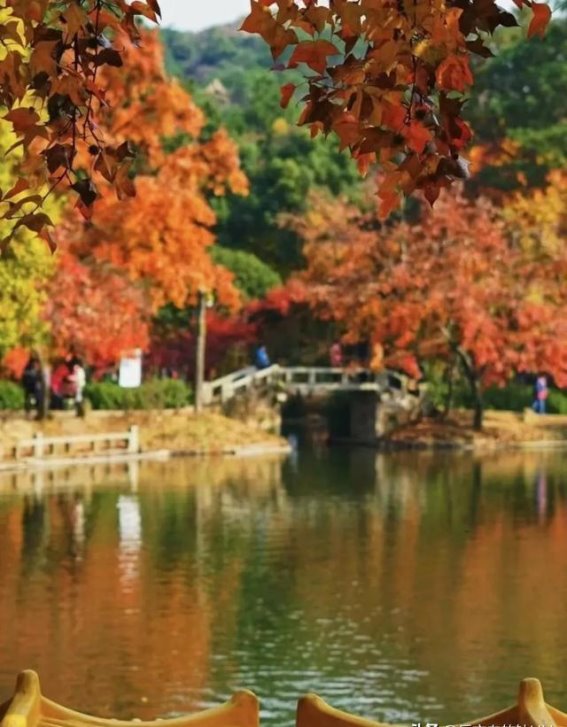金秋之旅：八个如诗如画的城市
