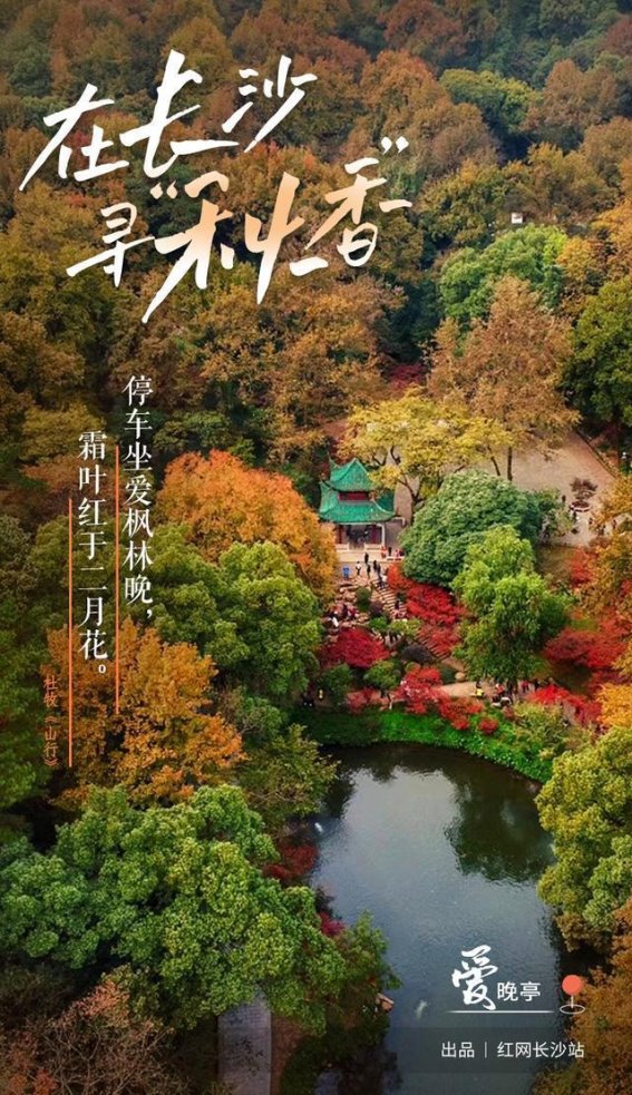 在长沙，寻香秋韵