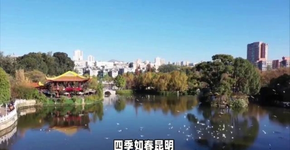 昆明：10万老外纷纷扎根的魅力城市