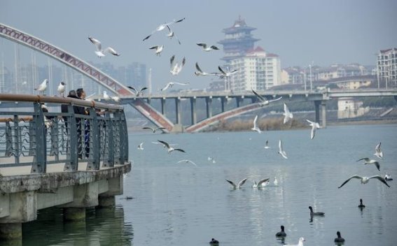 探秘绵阳：历史、自然与美食的完美融合