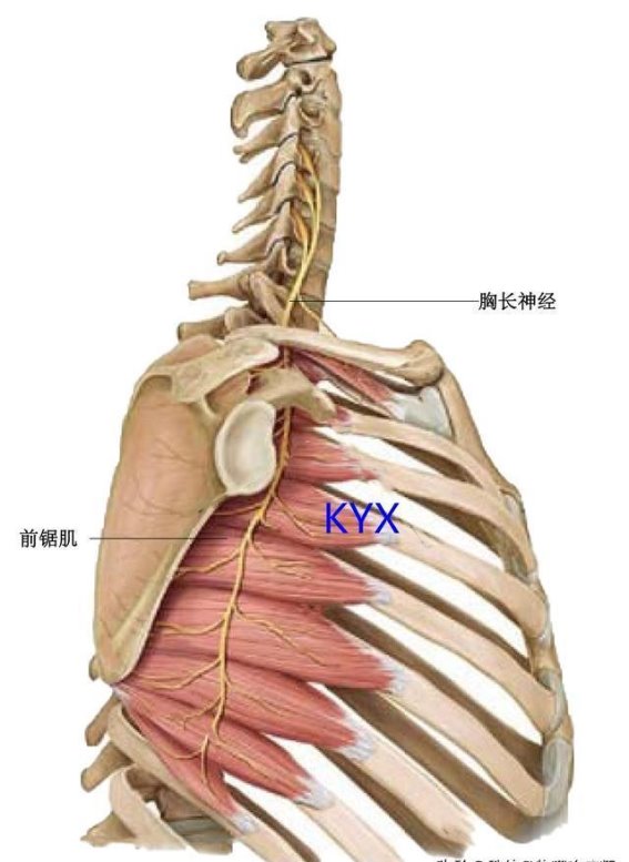 肩部疼痛、手麻不一定是颈椎病！探秘3大常见病因及诊治思路