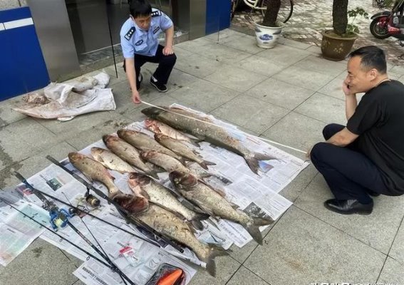 武汉垂钓文化的光与影：从晨光中的宁静到违规行为的挑战