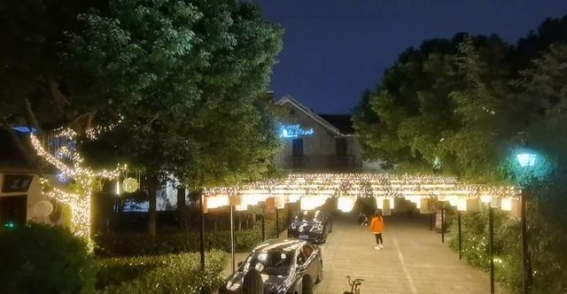 春节寒夜，五龙桥上的独行