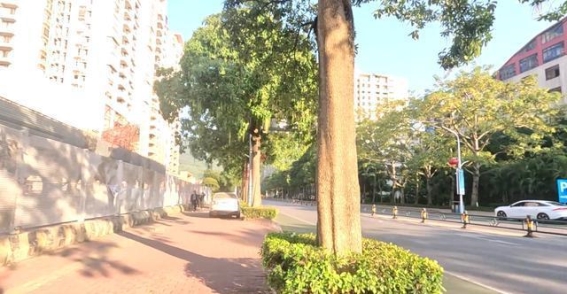 海陵岛：在宁静的海风中享受悠闲假期