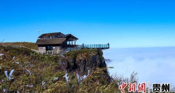 赫章韭菜坪：雪舞高原，梦幻仙境